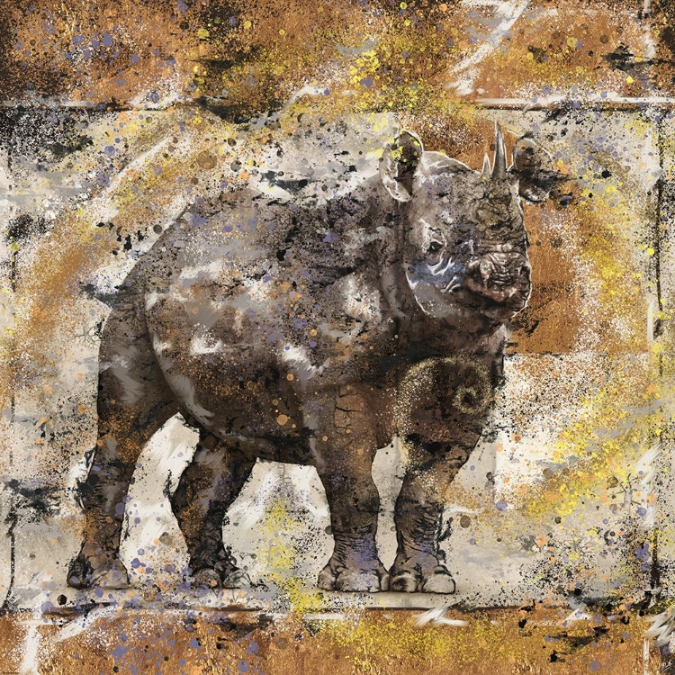 Picture of FIBONACCI  RHINO II