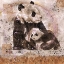Picture of FIBONACCI PANDA VI