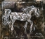Picture of WHITE HORSE DIFFERENT BORDER
