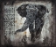 Picture of ELEPHANT