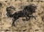 Picture of MUSTANG