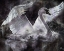 Picture of SWAN I