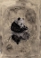 Picture of PANDA