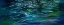 Picture of ABSTRACT BLUE XXII