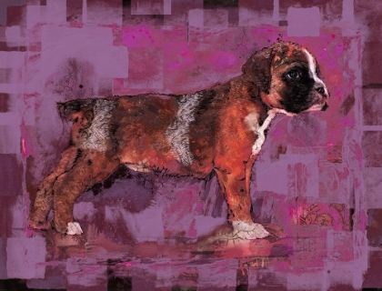 Picture of PINK PUP