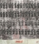 Picture of COKE SILKSCREEN COLOR