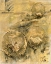 Picture of EXTINCTION AND PROTECTION