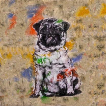 Picture of COLORFUL DOG III SQUARE