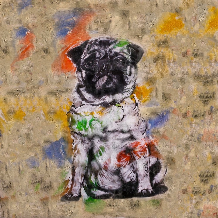 Picture of COLORFUL DOG III SQUARE