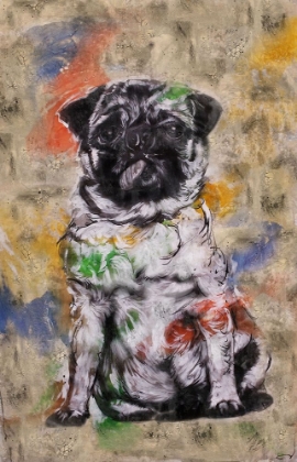 Picture of COLORFUL DOG IV