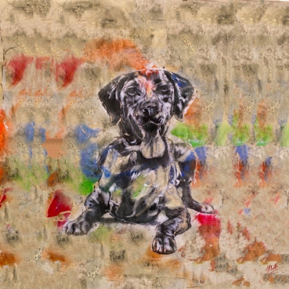Picture of COLORFUL DOG IV SQUARE