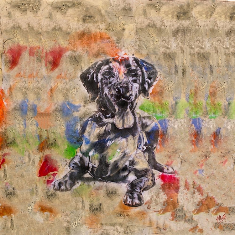 Picture of COLORFUL DOG IV SQUARE