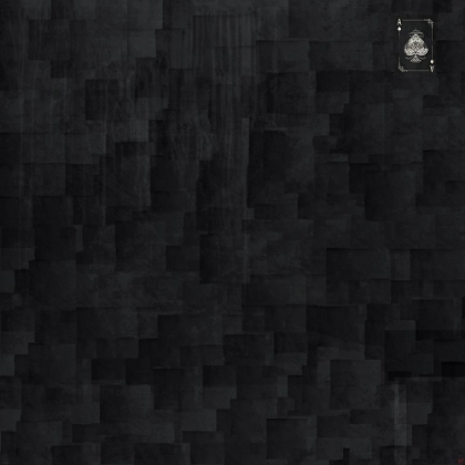 Picture of SILK SQUARE BLACK COLLAGE