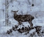 Picture of DEER-BLUE