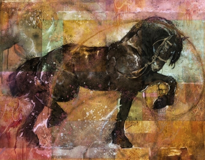 Picture of FIBONACCI HORSE COLORFUL