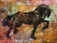 Picture of FIBONACCI HORSE COLORFUL