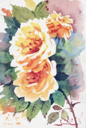 Picture of YELLOW ROSES FLOWERS