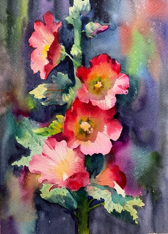 Picture of MALLOW FLOWERS