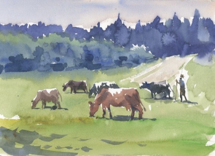 Picture of COWS