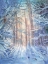 Picture of WINTER LANDSCAPE IN THE FOREST