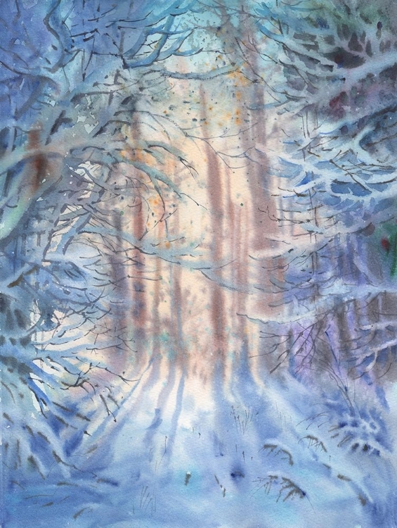 Picture of WINTER LANDSCAPE IN THE FOREST
