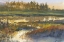 Picture of SUMMER LANDSCAPE
