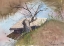 Picture of WATERCOLOR LANDSCAPE PAINTING 13
