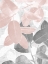 Picture of PRIM II