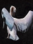 Picture of PELICAN