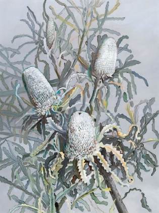 Picture of BANKSIA