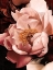 Picture of FLOURISH