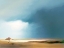 Picture of NULLARBOR