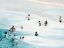 Picture of HEATWAVE