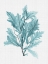 Picture of ARUBA TURQUOISE POSTER