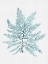 Picture of BERMUDA TURQUOISE POSTER