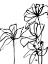 Picture of INK FLOWERS I POSTER