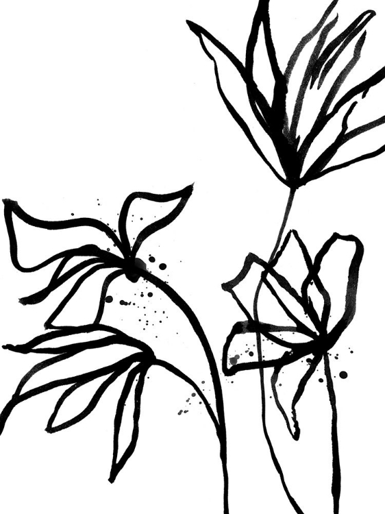 Picture of INK FLOWERS II POSTER