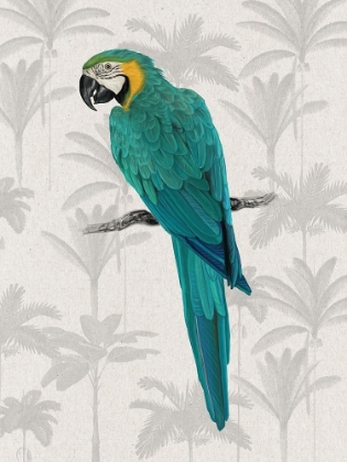 Picture of TROPICAL MACAW POSTER