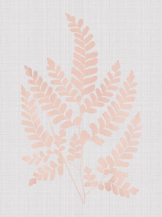 Picture of CHESTNUT BLUSH POSTER