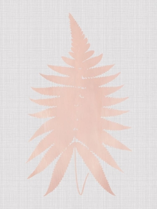 Picture of FERN BLUSH POSTER