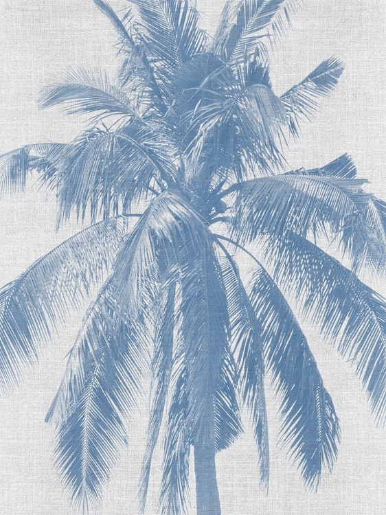 Picture of DENIM PALMS I POSTER