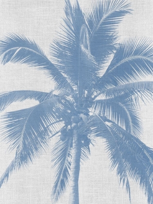 Picture of DENIM PALMS II POSTER