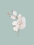Picture of MINT ANTHURIUM I POSTER