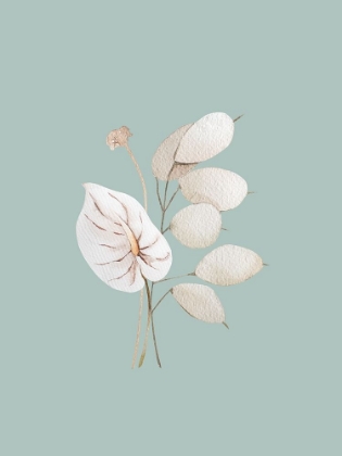 Picture of MINT ANTHURIUM II POSTER