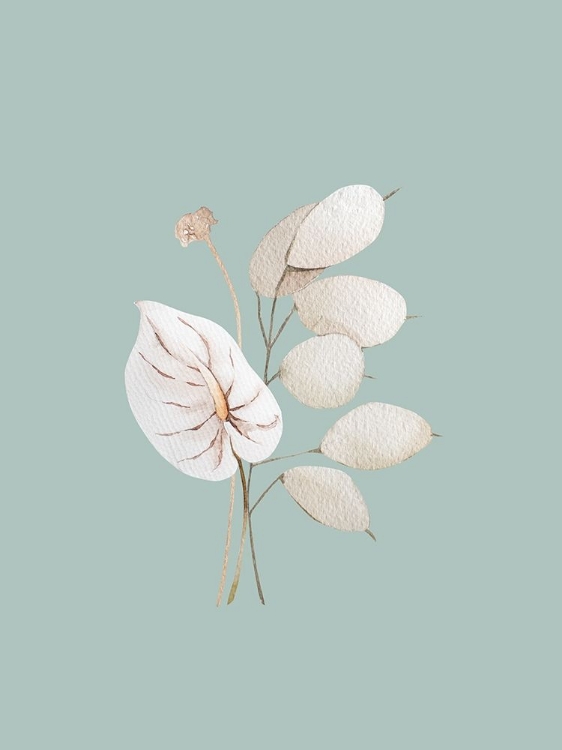 Picture of MINT ANTHURIUM II POSTER