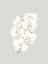 Picture of BEIGE LILIES POSTER
