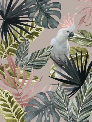 Picture of TROPICAL COCKATOO POSTER