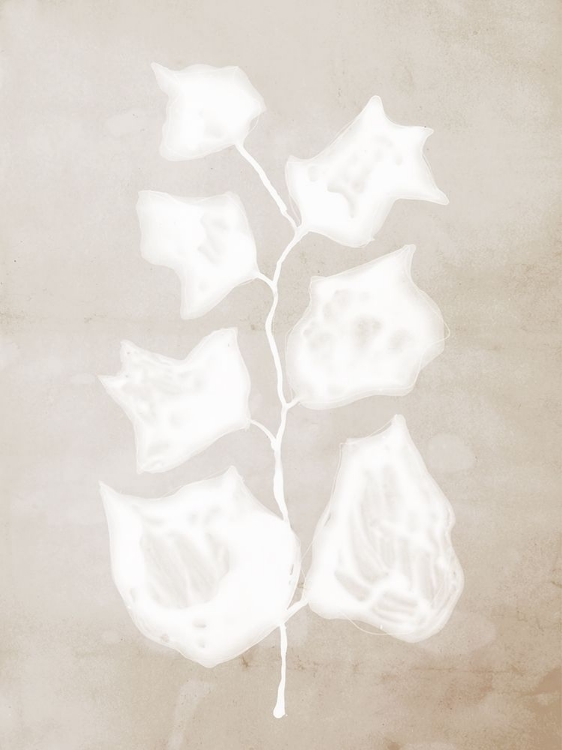 Picture of PAPER BARK II 