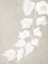 Picture of PAPER BARK III 