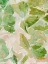 Picture of OAKLEAF II 